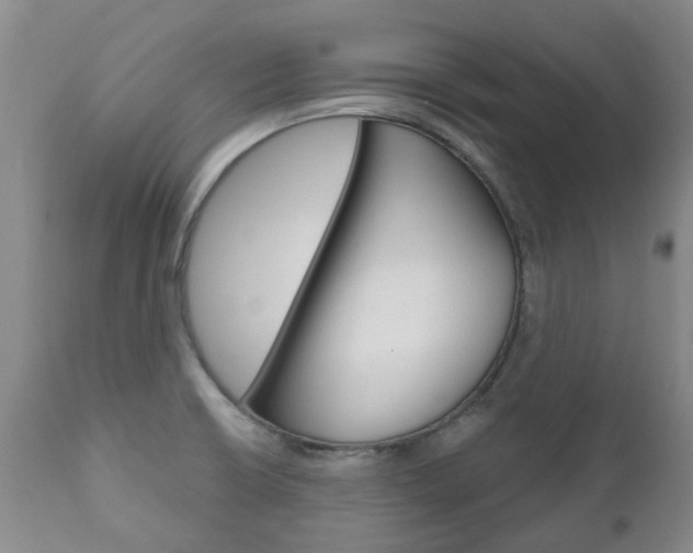 X0000111181426200907011022