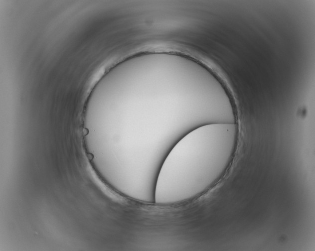 X0000111181429200907011022
