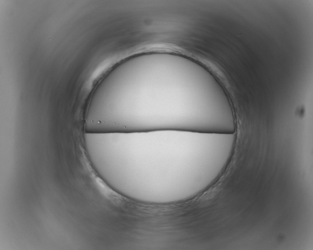 X0000111181430200907011022