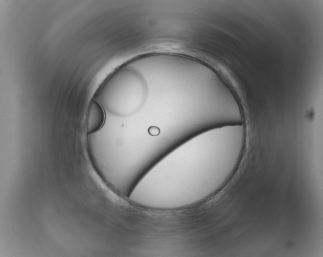 X0000111181432200907011022