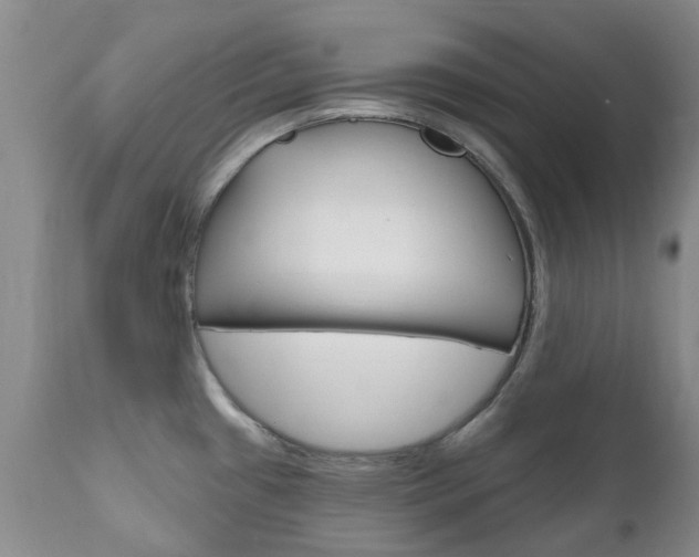 X0000111181433200907011022