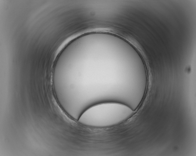 X0000111181436200907011022