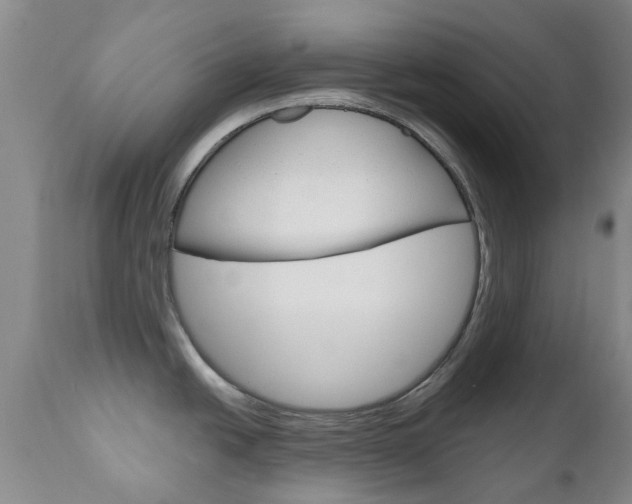 X0000111181438200907011022