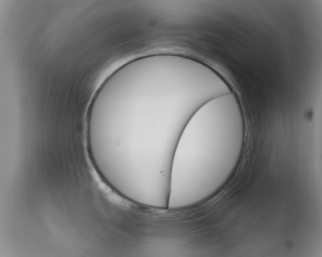 X0000111181439200907011022