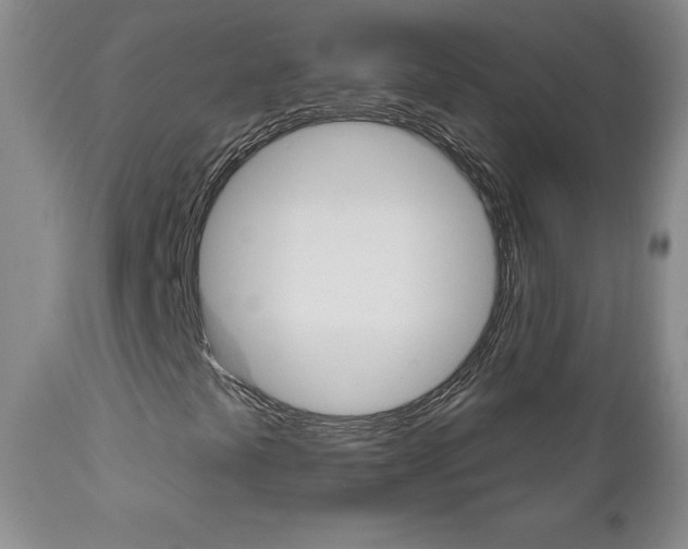 X0000111181441200907011021