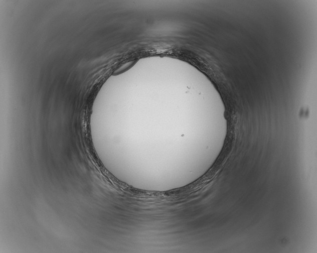 X0000111181442200907011021