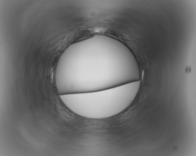 X0000111181443200907011021