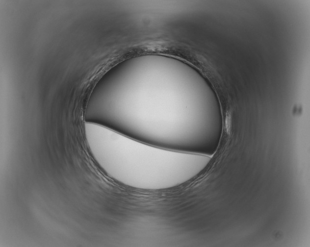 X0000111181444200907011021