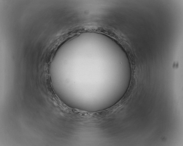 X0000111181445200907011021