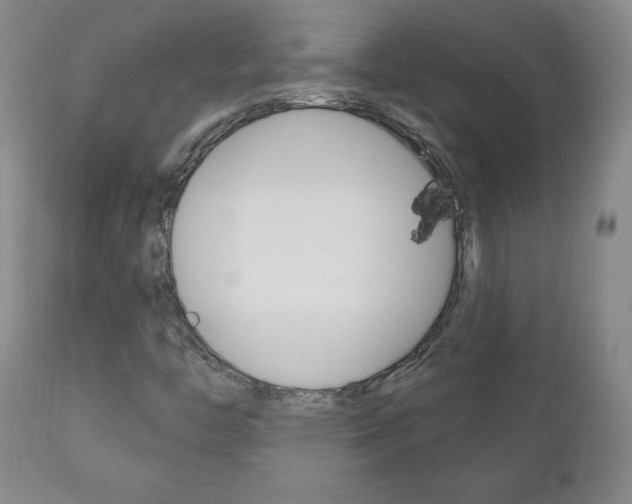 X0000111181446200907011021