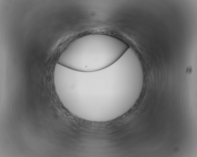 X0000111181447200907011021