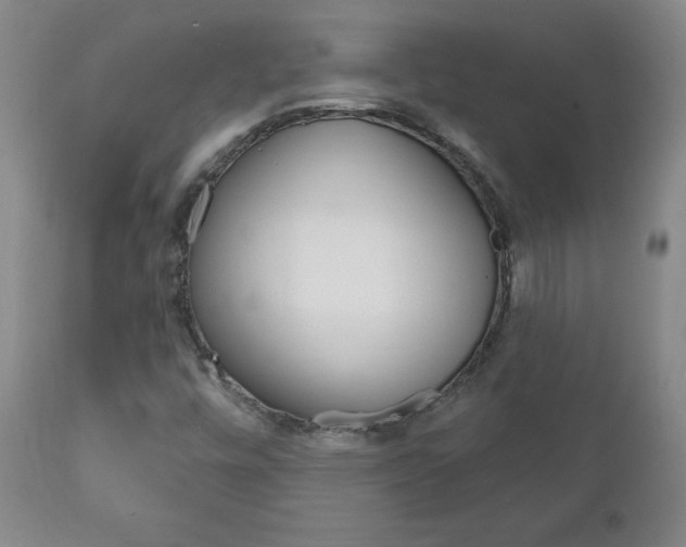X0000111181448200907011021
