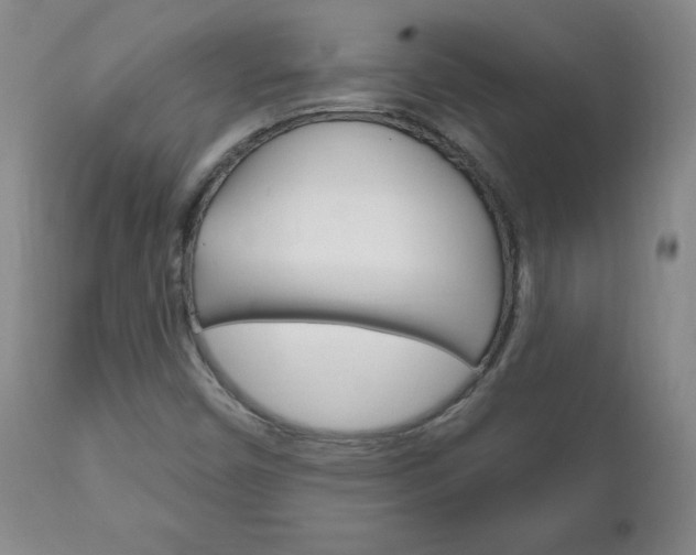 X0000111181450200907011021