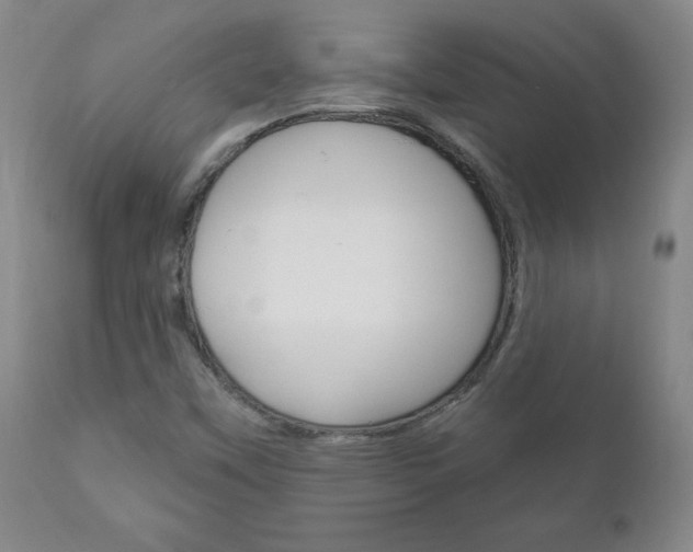 X0000111181451200907011021