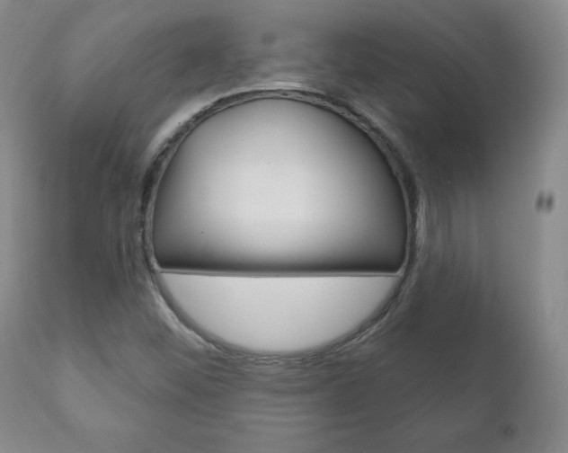 X0000111181452200907011021