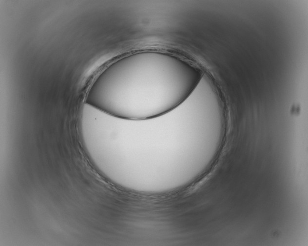 X0000111181453200907011021