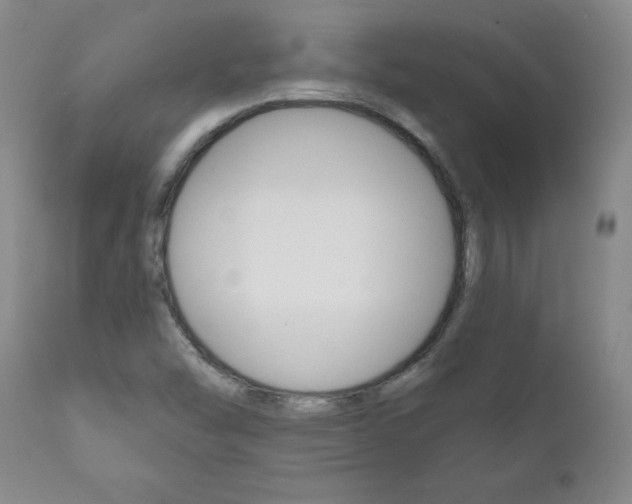 X0000111181454200907011021