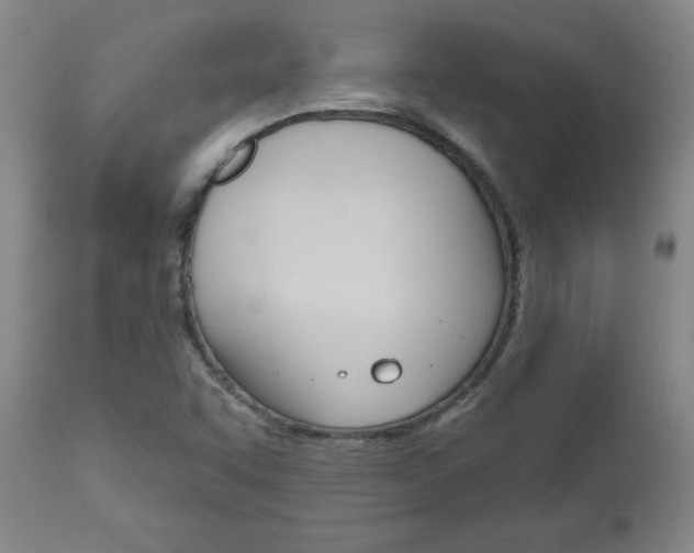 X0000111181455200907011021