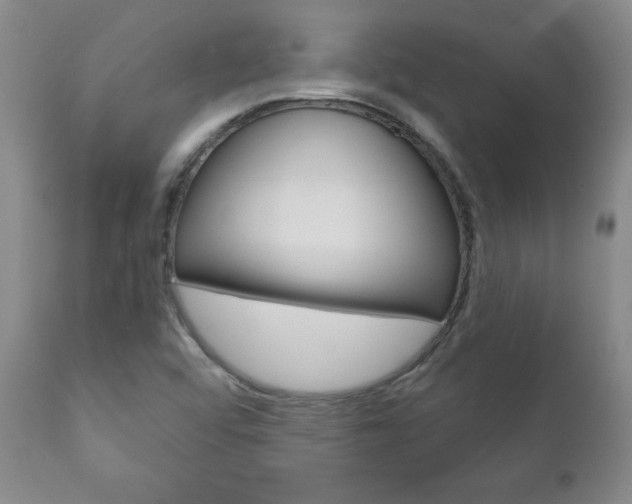X0000111181456200907011021