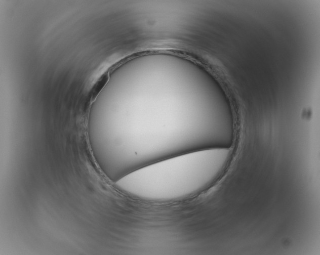 X0000111181457200907011021