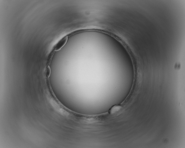 X0000111181460200907011021