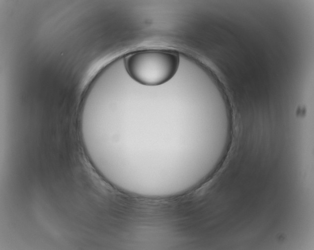 X0000111181461200907011021