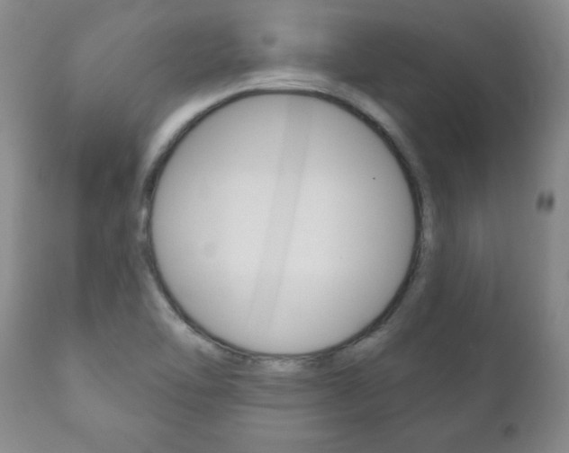 X0000111181462200907011021
