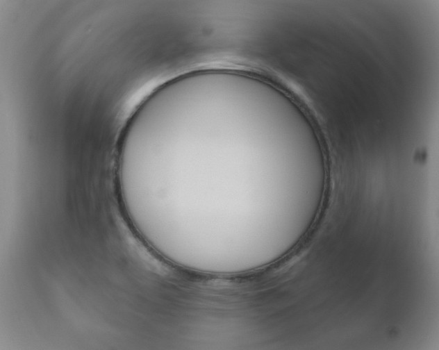 X0000111181463200907011021