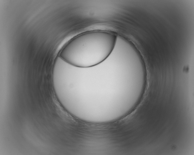 X0000111181465200907011021