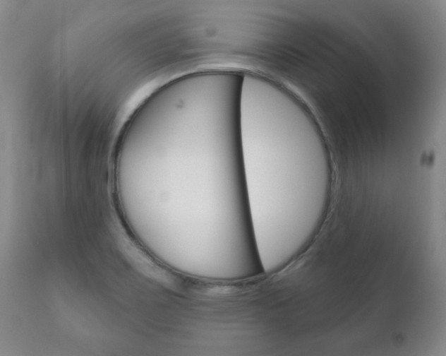 X0000111181467200907011021