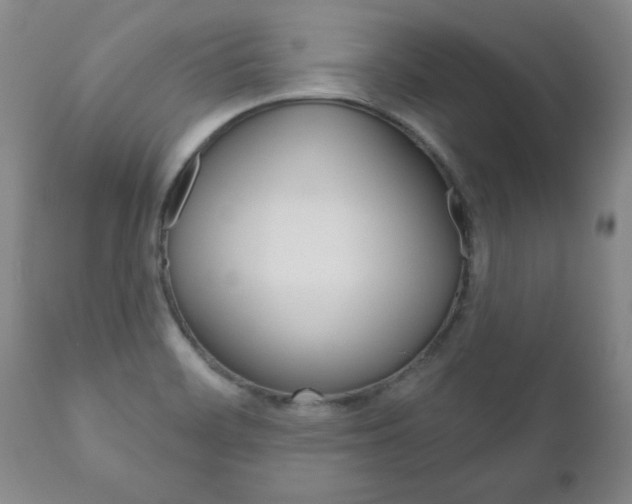 X0000111181468200907011021