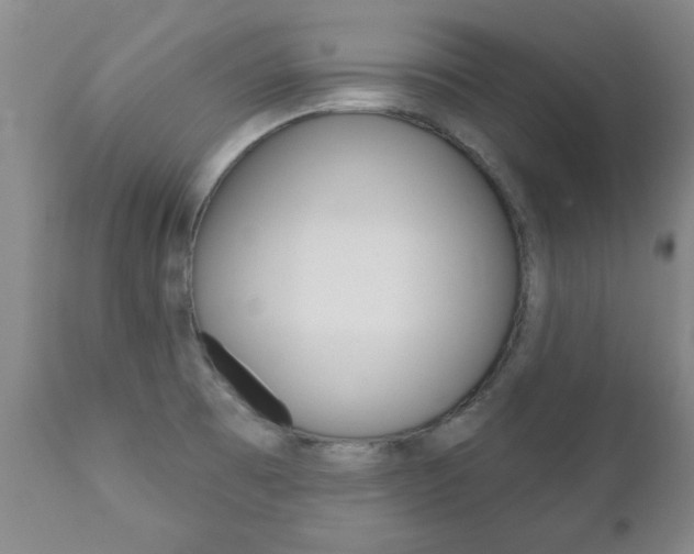 X0000111181473200907011021