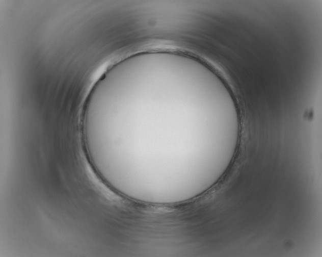 X0000111181475200907011020