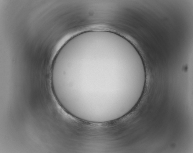 X0000111181478200907011020