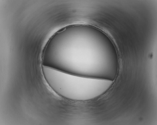X0000111181480200907011020