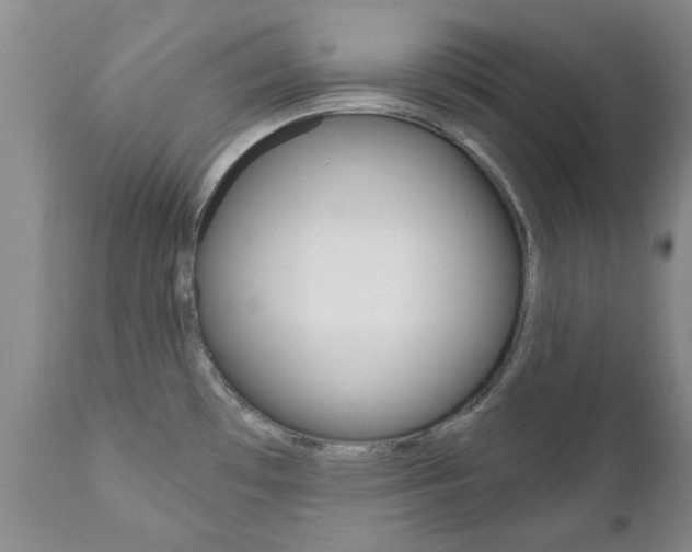 X0000111181481200907011020