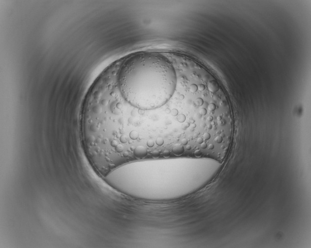 X0000111181483200907011020