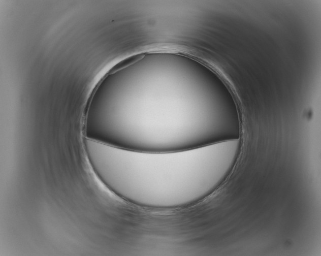 X0000111181484200907011020