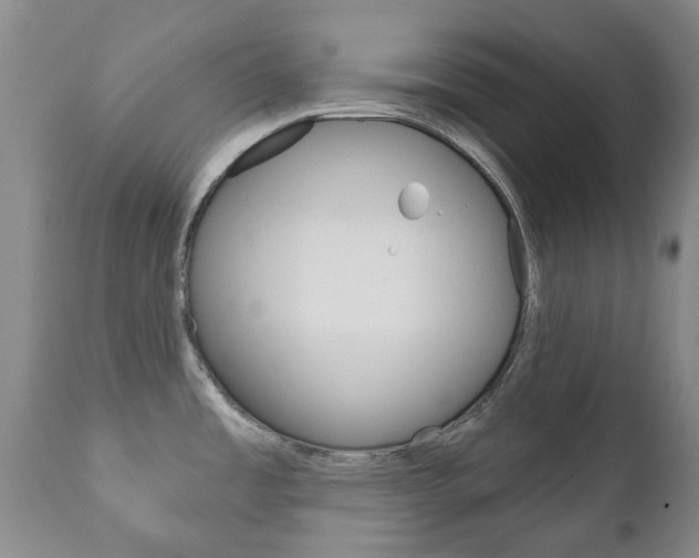 X0000111181485200907011020