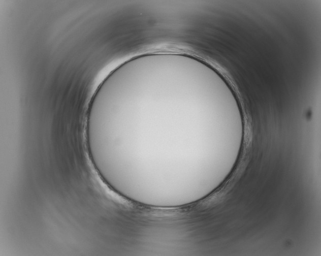 X0000111181486200907011020