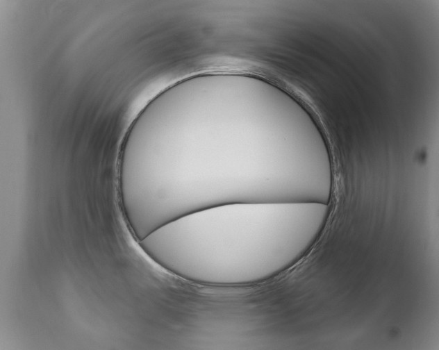 X0000111181487200907011020