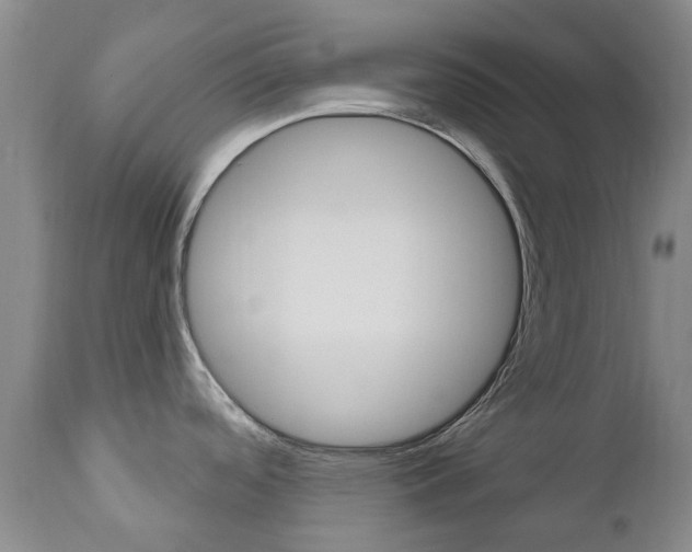 X0000111181488200907011020