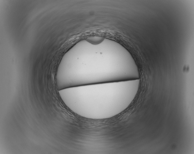 X0000111181489200907011019