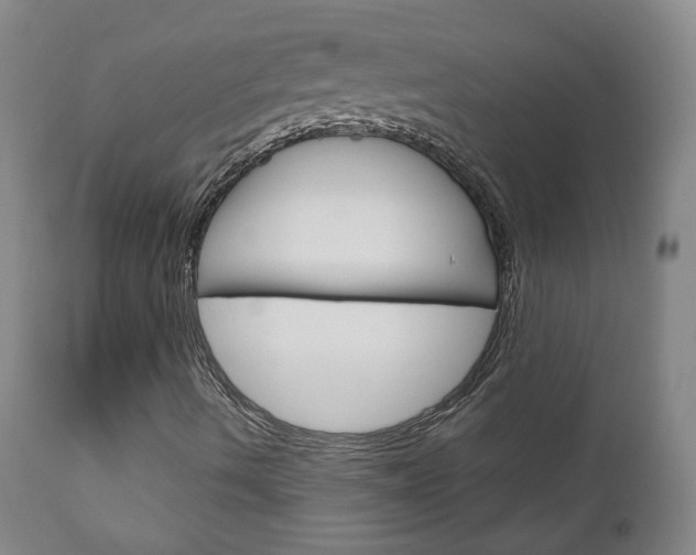 X0000111181490200907011019