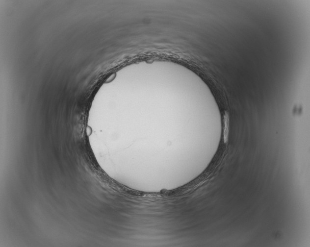 X0000111181491200907011019