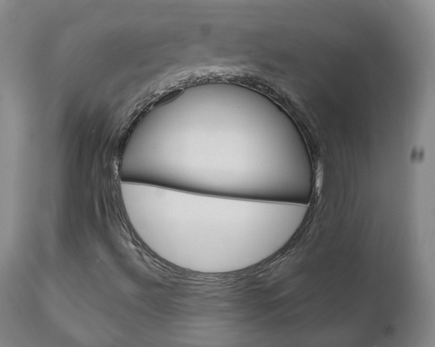 X0000111181492200907011019