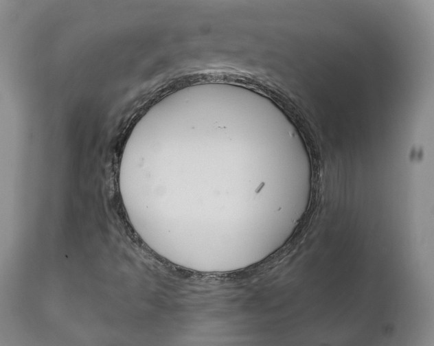 X0000111181493200907011020