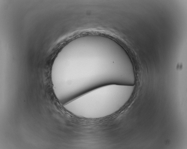 X0000111181494200907011020
