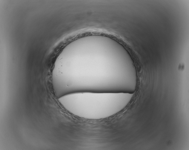X0000111181495200907011020
