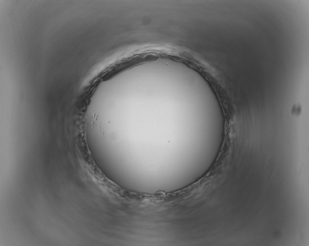 X0000111181496200907011020